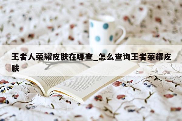王者人荣耀皮肤在哪查_怎么查询王者荣耀皮肤