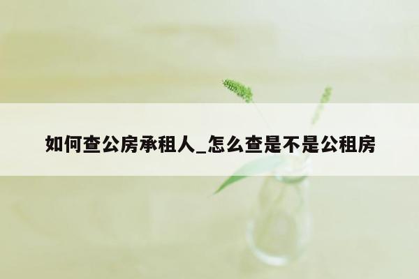 如何查公房承租人_怎么查是不是公租房