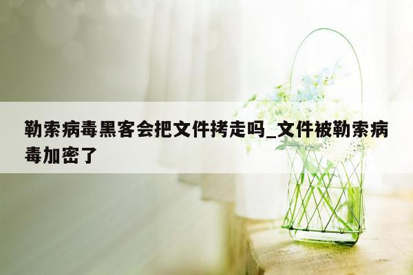 勒索病毒黑客会把文件拷走吗_文件被勒索病毒加密了