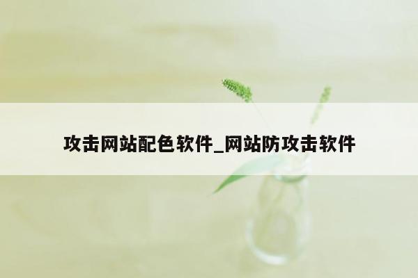 攻击网站配色软件_网站防攻击软件