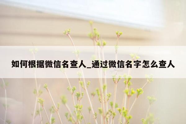 如何根据微信名查人_通过微信名字怎么查人