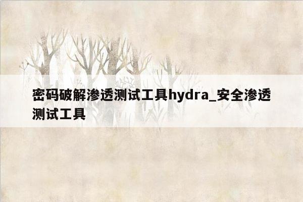 密码破解渗透测试工具hydra_安全渗透测试工具