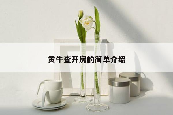黄牛查开房的简单介绍