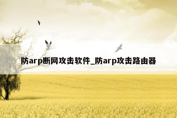 防arp断网攻击软件_防arp攻击路由器