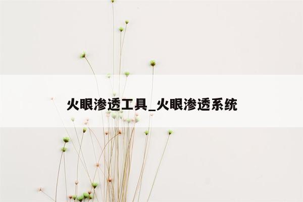 火眼渗透工具_火眼渗透系统