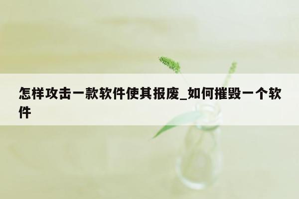 怎样攻击一款软件使其报废_如何摧毁一个软件