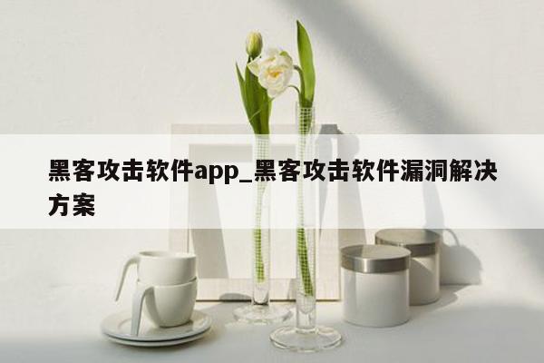 黑客攻击软件app_黑客攻击软件漏洞解决方案