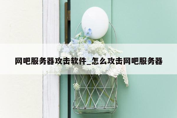 网吧服务器攻击软件_怎么攻击网吧服务器