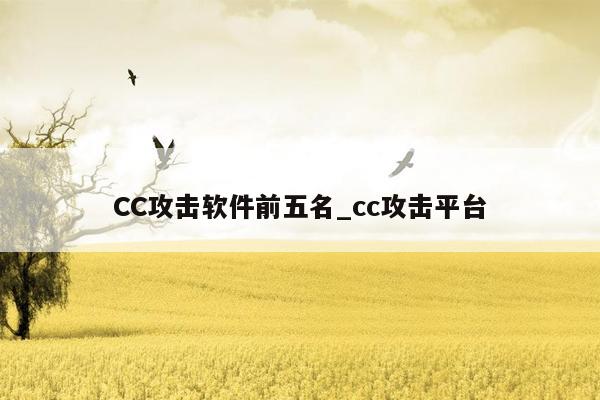 CC攻击软件前五名_cc攻击平台
