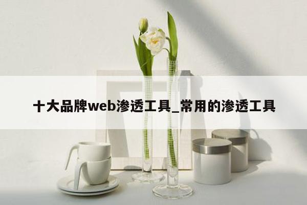 十大品牌web渗透工具_常用的渗透工具