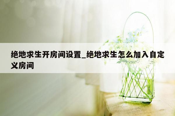 绝地求生开房间设置_绝地求生怎么加入自定义房间