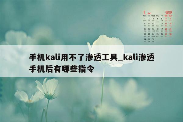 手机kali用不了渗透工具_kali渗透手机后有哪些指令