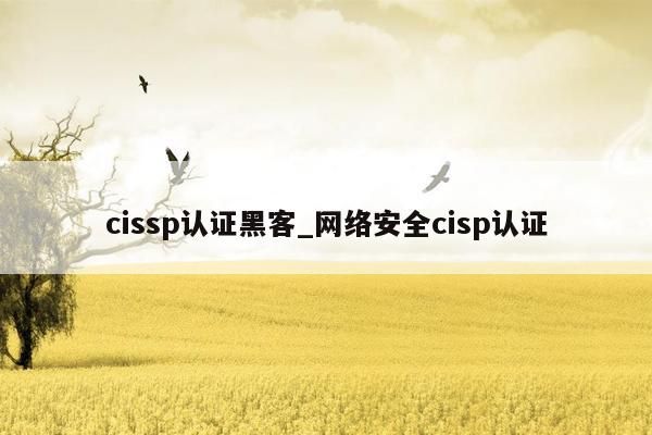 cissp认证黑客_网络安全cisp认证