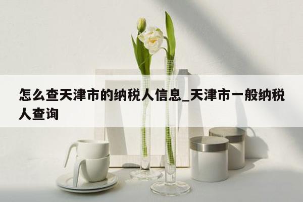 怎么查天津市的纳税人信息_天津市一般纳税人查询
