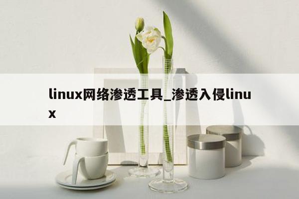 linux网络渗透工具_渗透入侵linux
