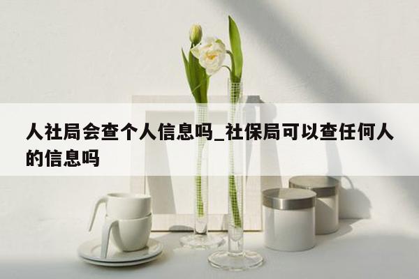 人社局会查个人信息吗_社保局可以查任何人的信息吗