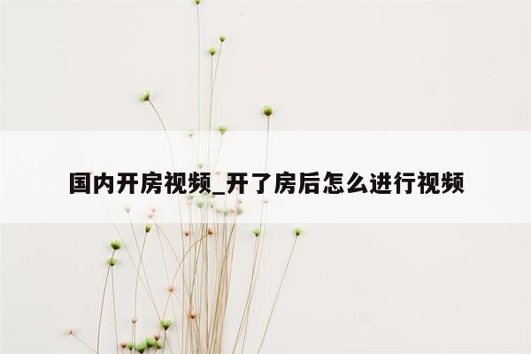 国内开房视频_开了房后怎么进行视频