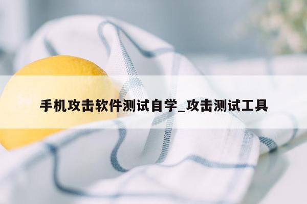 手机攻击软件测试自学_攻击测试工具