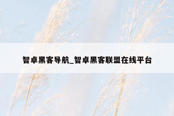 智卓黑客导航_智卓黑客联盟在线平台