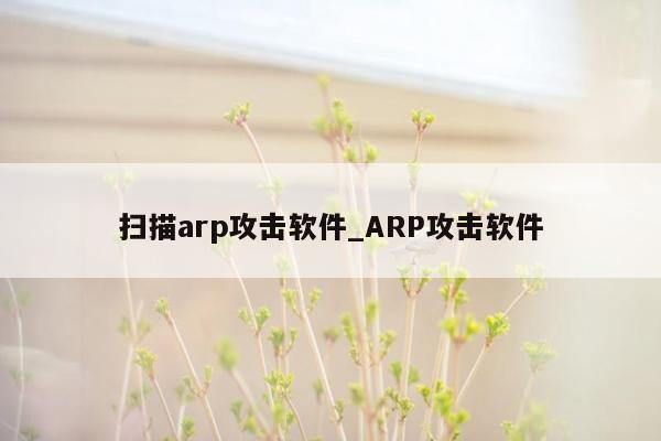扫描arp攻击软件_ARP攻击软件