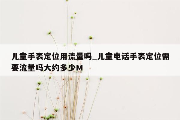 儿童手表定位用流量吗_儿童电话手表定位需要流量吗大约多少M