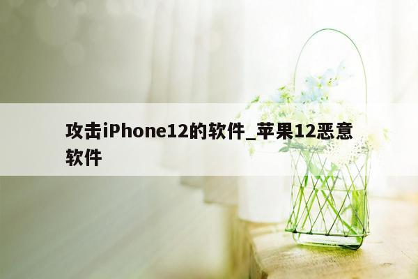 攻击iPhone12的软件_苹果12恶意软件