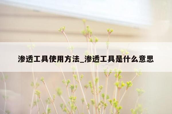 渗透工具使用方法_渗透工具是什么意思