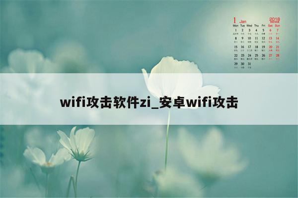 wifi攻击软件zi_安卓wifi攻击