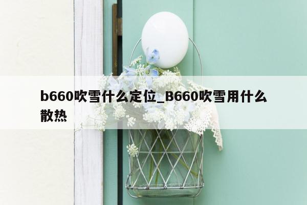 b660吹雪什么定位_B660吹雪用什么散热