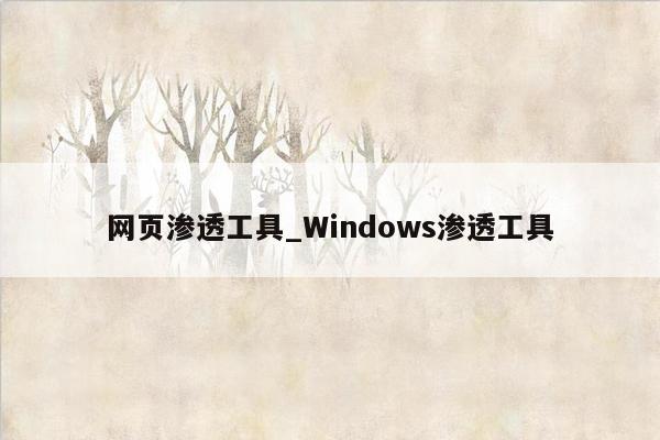 网页渗透工具_Windows渗透工具