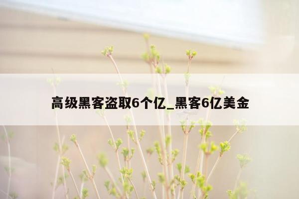 高级黑客盗取6个亿_黑客6亿美金