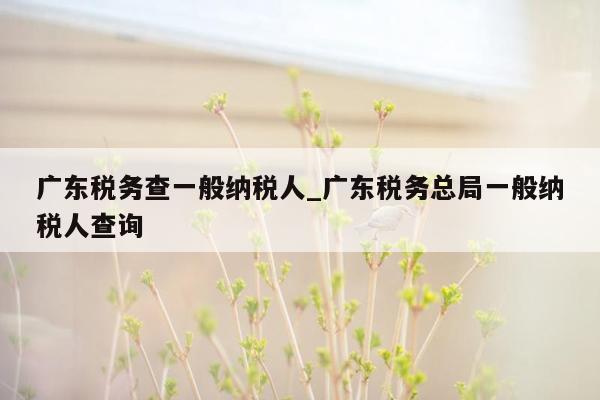 广东税务查一般纳税人_广东税务总局一般纳税人查询