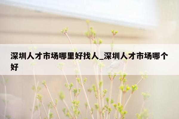 深圳人才市场哪里好找人_深圳人才市场哪个好