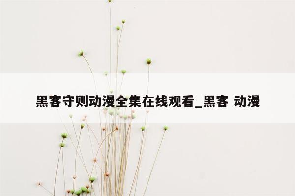 黑客守则动漫全集在线观看_黑客 动漫