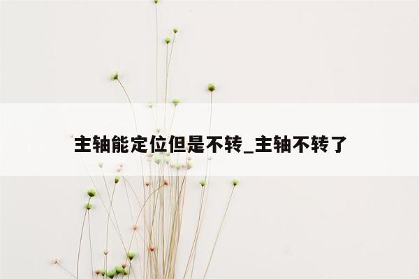 主轴能定位但是不转_主轴不转了