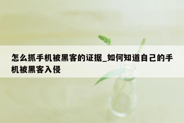 怎么抓手机被黑客的证据_如何知道自己的手机被黑客入侵