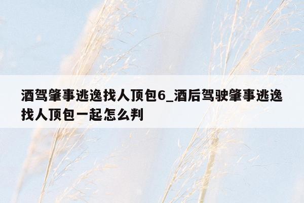酒驾肇事逃逸找人顶包6_酒后驾驶肇事逃逸找人顶包一起怎么判