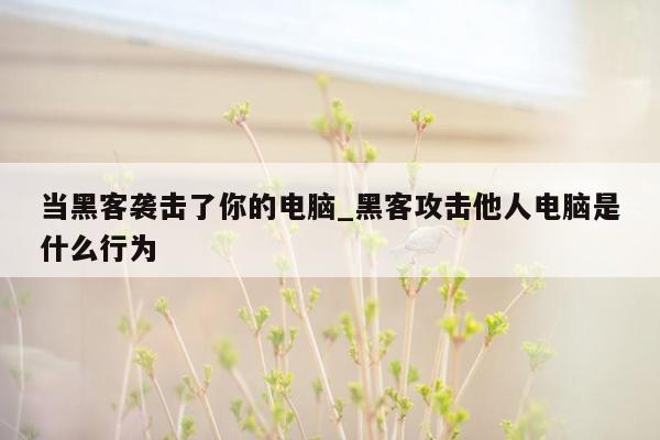 当黑客袭击了你的电脑_黑客攻击他人电脑是什么行为