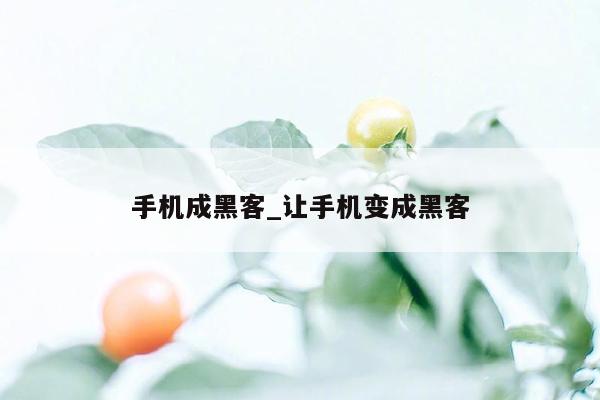 手机成黑客_让手机变成黑客