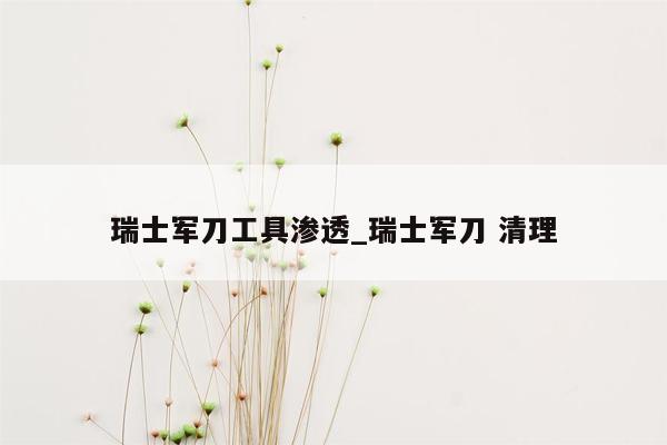 瑞士军刀工具渗透_瑞士军刀 清理