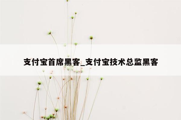 支付宝首席黑客_支付宝技术总监黑客