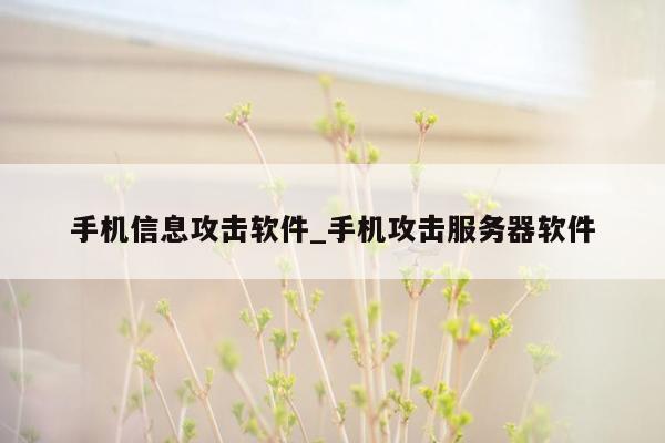 手机信息攻击软件_手机攻击服务器软件