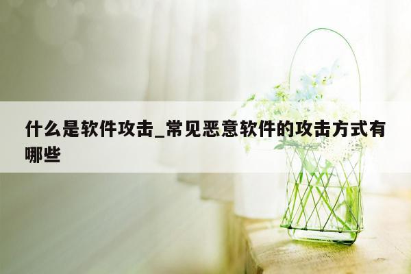 什么是软件攻击_常见恶意软件的攻击方式有哪些