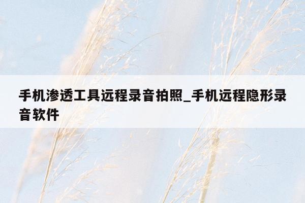 手机渗透工具远程录音拍照_手机远程隐形录音软件
