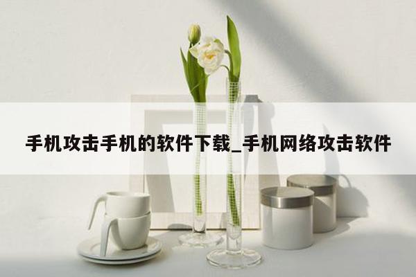 手机攻击手机的软件下载_手机网络攻击软件