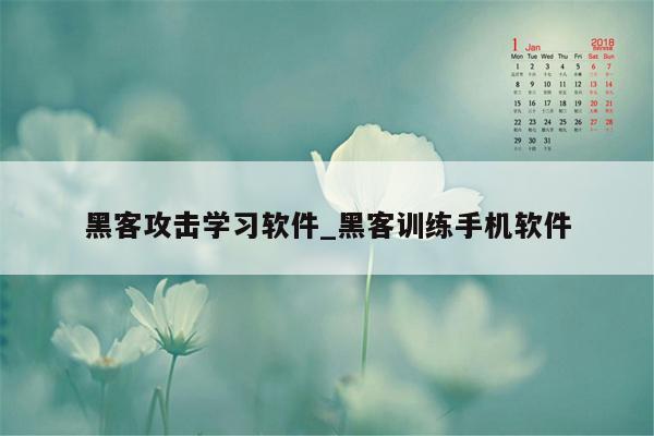 黑客攻击学习软件_黑客训练手机软件