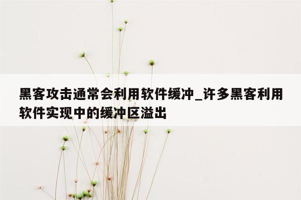 黑客攻击通常会利用软件缓冲_许多黑客利用软件实现中的缓冲区溢出