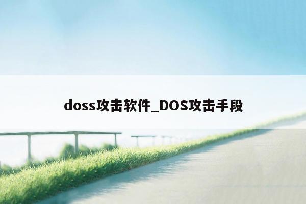 doss攻击软件_DOS攻击手段
