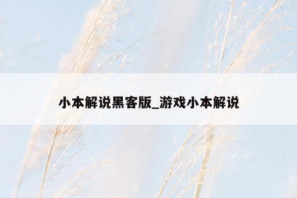 小本解说黑客版_游戏小本解说