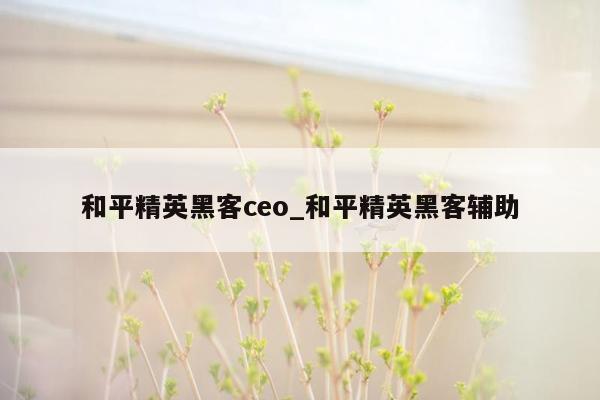 和平精英黑客ceo_和平精英黑客辅助